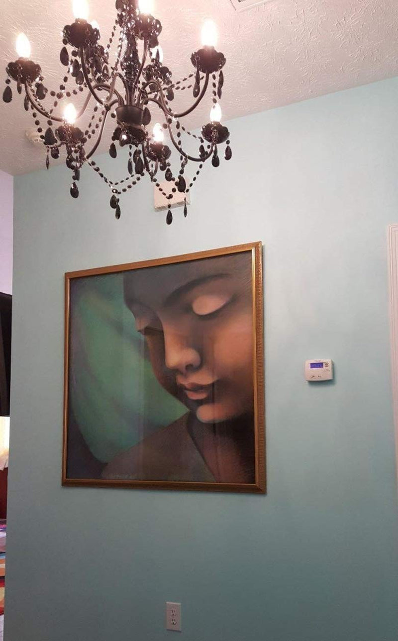 The Original Brink House Plug-In 9 Light Black Hanging Swag Chandelier H26”Xw...