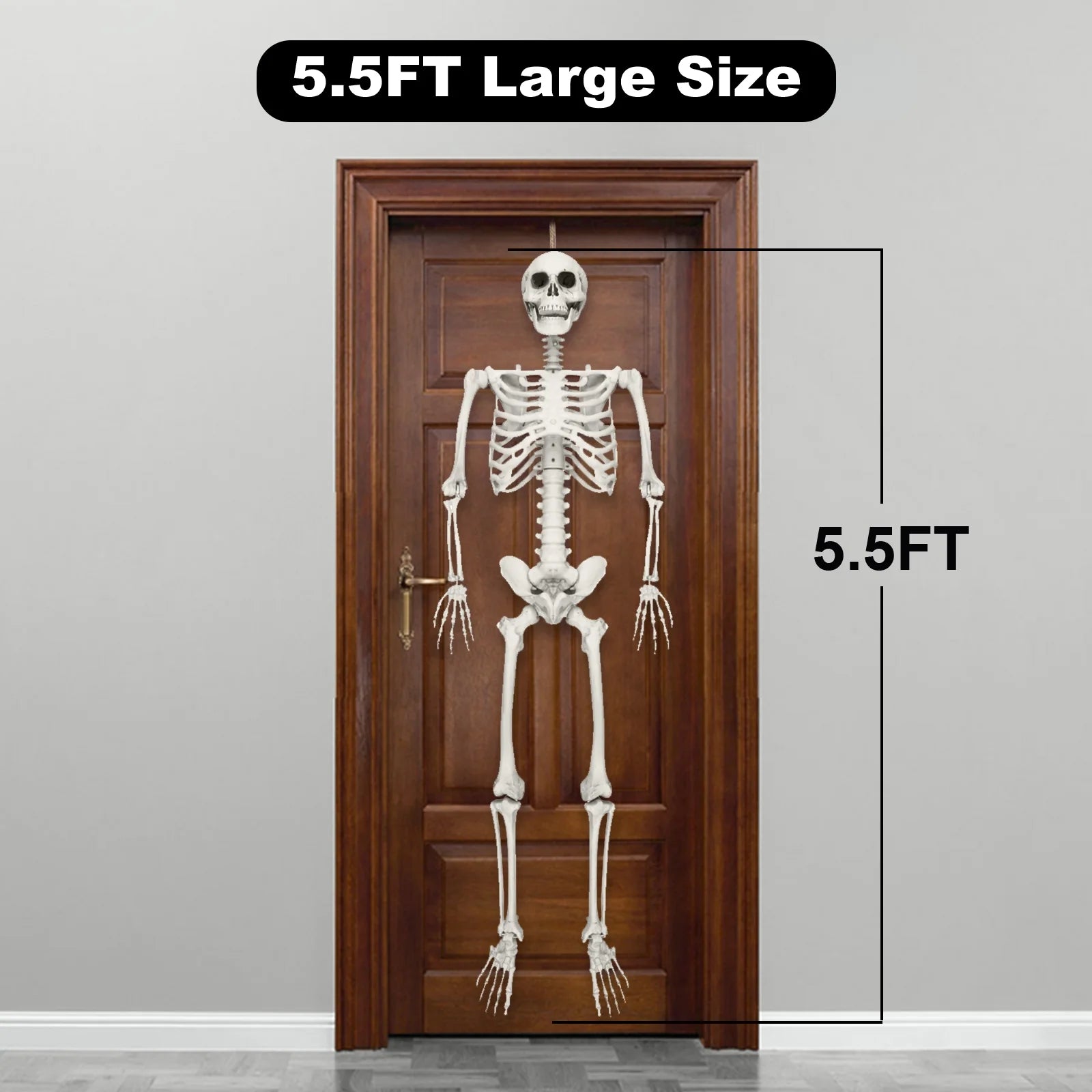 5.5 Ft Life-Size Skeleton Decoration, with LED & Sound, White, 1 Count