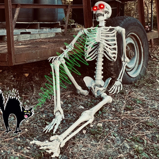 5.5 Ft Life-Size Skeleton Decoration, with LED & Sound, White, 1 Count