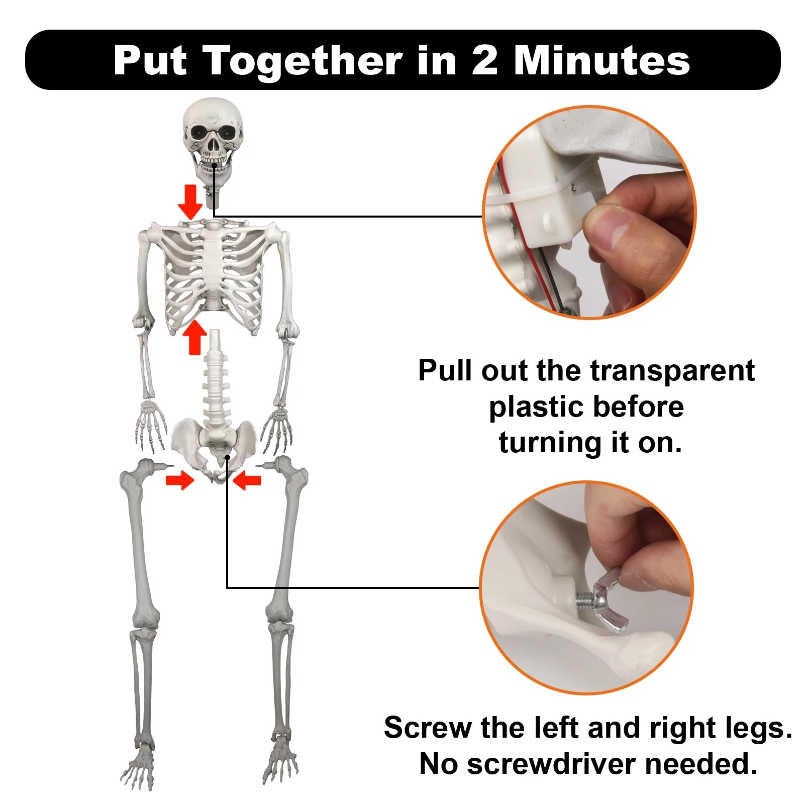 5.5 Ft Life-Size Skeleton Decoration, with LED & Sound, White, 1 Count