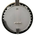 5-String Banjo Acoustic Mahogany & Rosewood