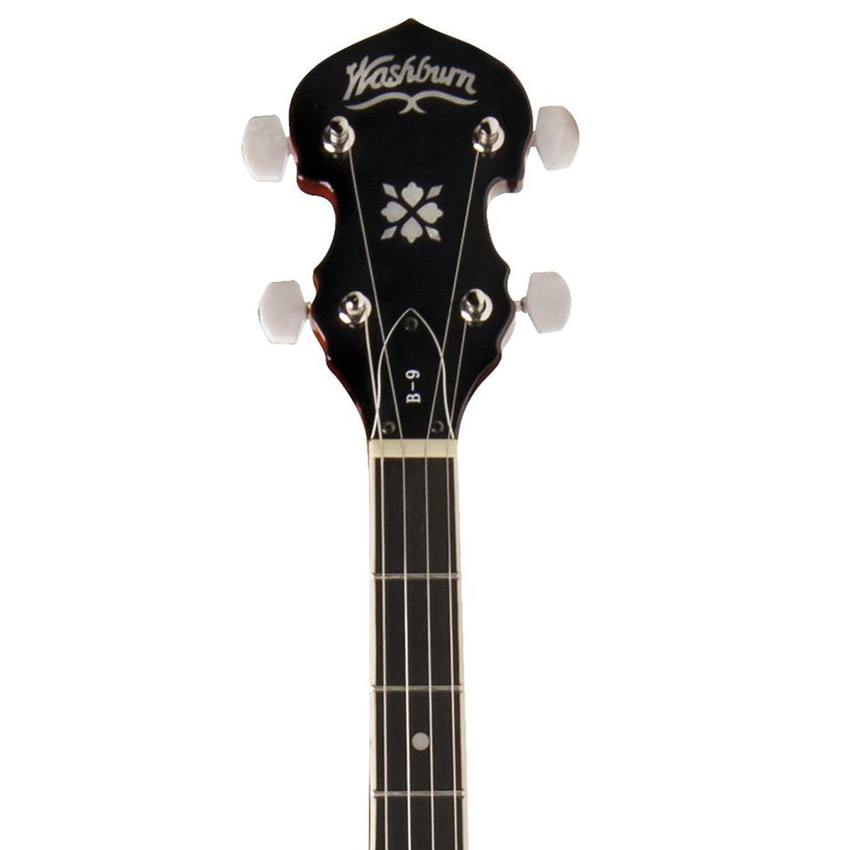 5-String Banjo Acoustic Mahogany & Rosewood