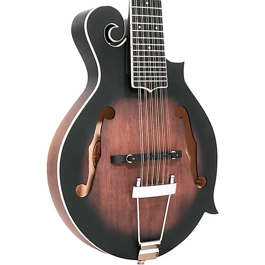 Mandolin Guitar 12 String  F-12 -The Sound of Excellence in Musical Mastery
