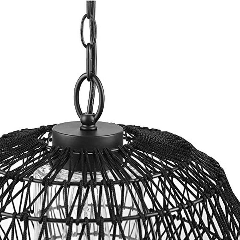 44759 1-Light Outdoor/Indoor Plug-In Pendant Light, Black Woven Diego (Black)