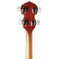 5-String Banjo Acoustic Mahogany & Rosewood