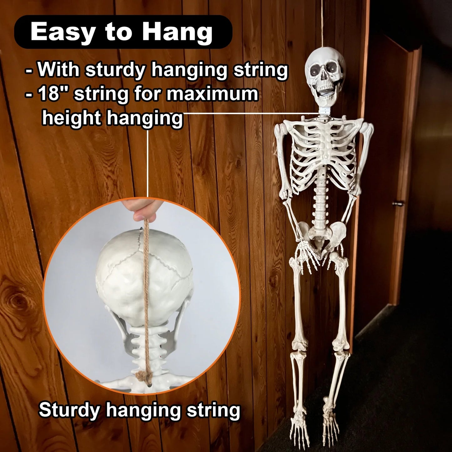 5.5 Ft Life-Size Skeleton Decoration, with LED & Sound, White, 1 Count